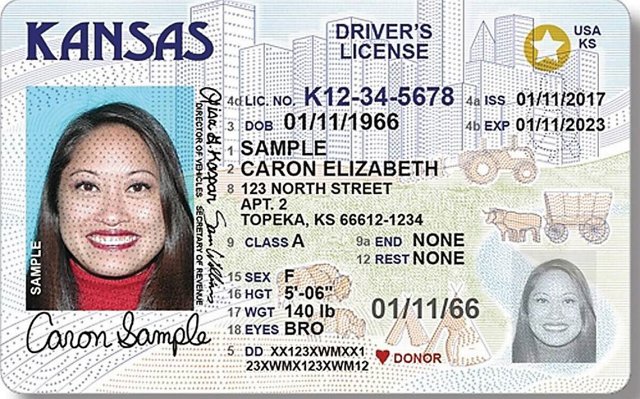 Florida drivers license star meaning name