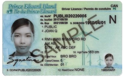 Canadian driver license number format